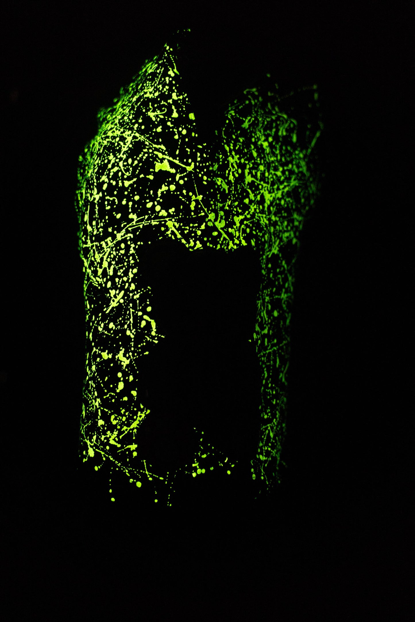 SHORTS NR BEAR BLACK